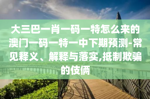 大三巴一肖一碼一特怎么來的澳門一碼一特一中下期預(yù)測-常見釋義、解釋與落實,抵制欺騙的伎倆