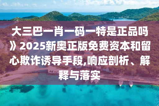 大三巴一肖一碼一特是正品嗎》2025新奧正版免費資本和留心欺詐誘導手段,響應剖析、解釋與落實