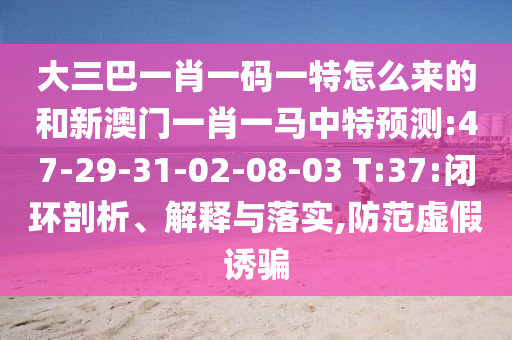 大三巴一肖一碼一特怎么來的和新澳門一肖一馬中特預(yù)測:47-29-31-02-08-03 T:37:閉環(huán)剖析、解釋與落實(shí),防范虛假誘騙