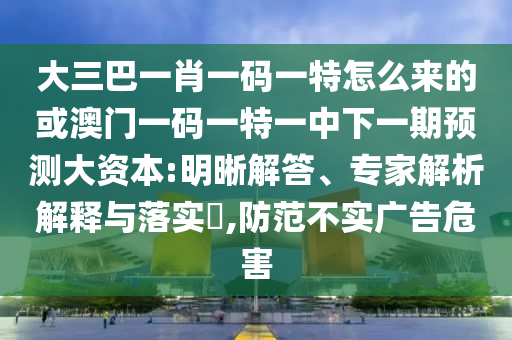 大三巴一肖一碼一特怎么來的或澳門一碼一特一中下一期預(yù)測大資本:明晰解答、專家解析解釋與落實(shí)?,防范不實(shí)廣告危害